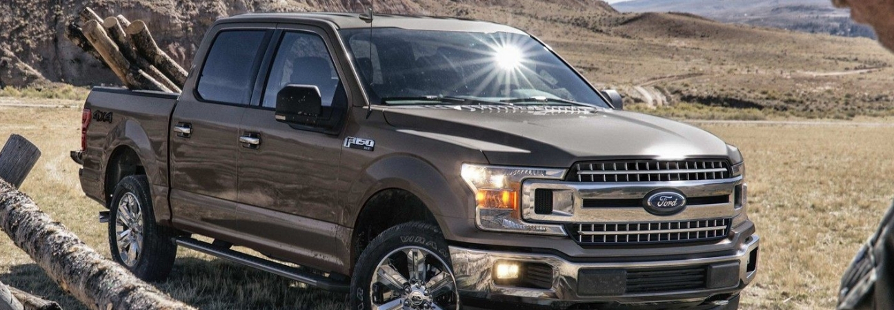 Gray 2019 Ford F-150 hauling logs from a lumber site.