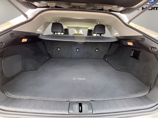 2019 Lexus RX 350 350